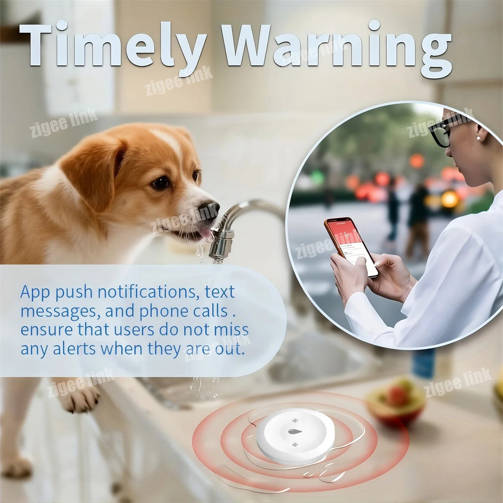 Smart Water Leak Sensor